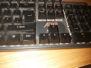 One of the many keyboards available on the market